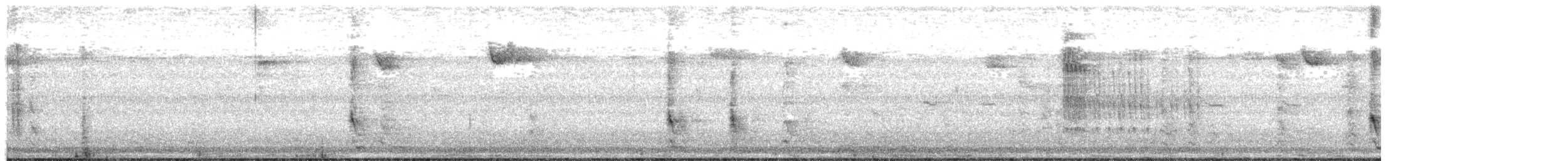 Red-bellied Woodpecker - ML647801627