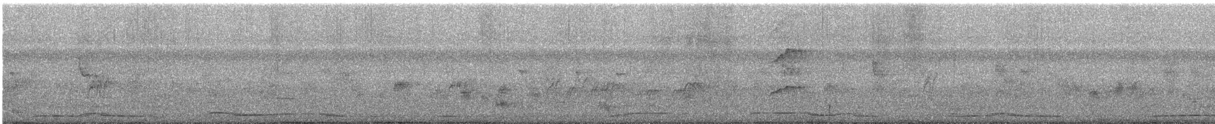 holub východní - ML647801634