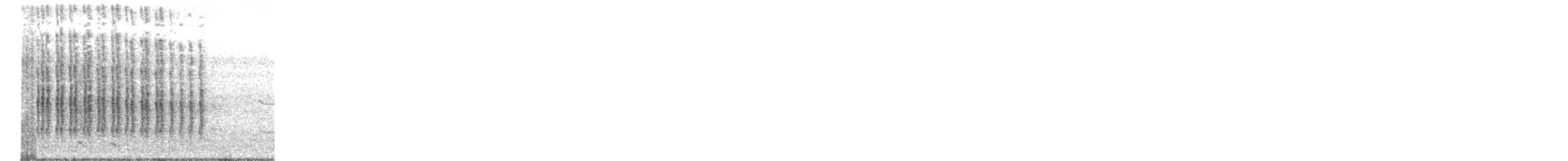 rybařík pruhoprsý - ML647801635