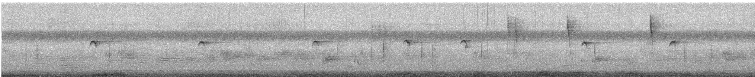 rehek daurský - ML647801648