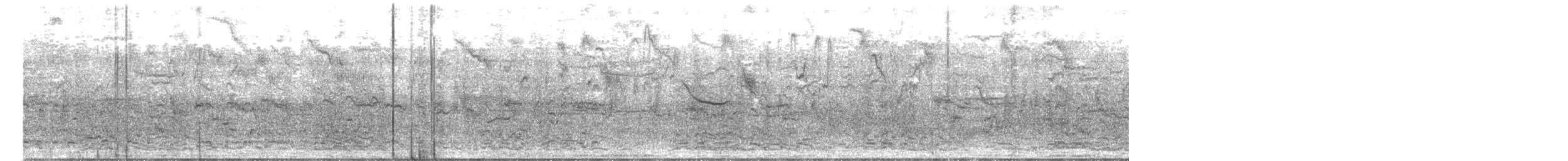 husa běločelá - ML647801697