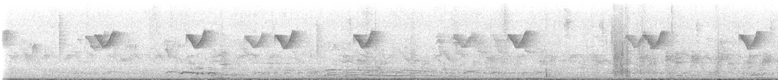 budníček pruhohlavý - ML647801699