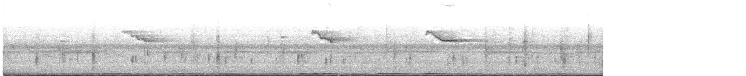 výr virginský - ML647801706