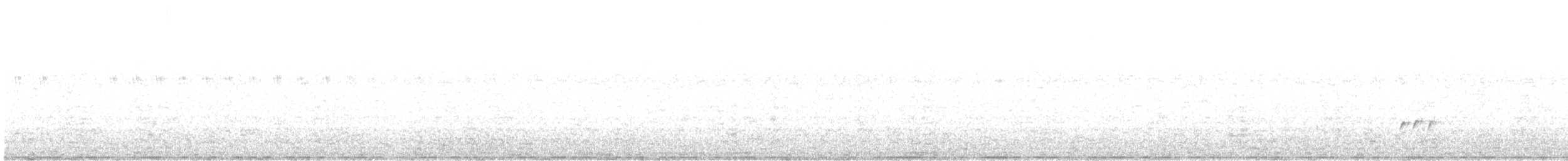 bartramie dlouhoocasá - ML647801768