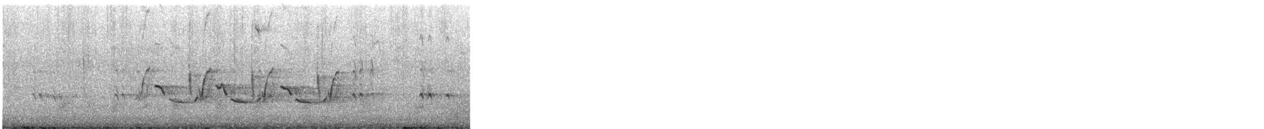 střízlík karolínský - ML647801818