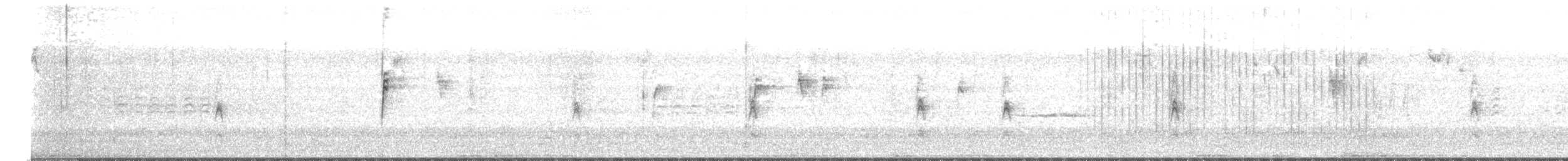 strnadec bělopásý - ML647801850