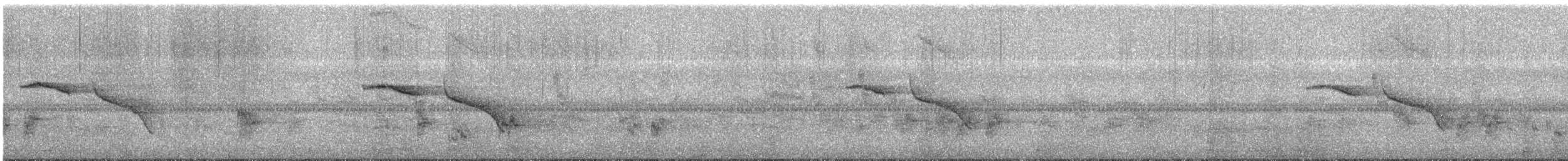 Oriental Magpie-Robin - ML647801851