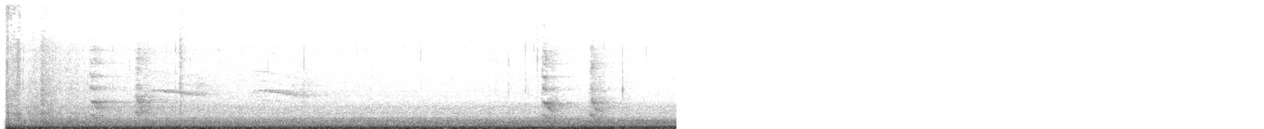 datel karolínský - ML647802178