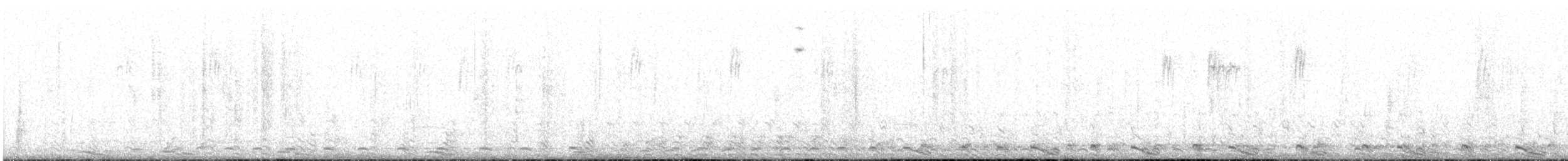 potápka americká - ML647802705