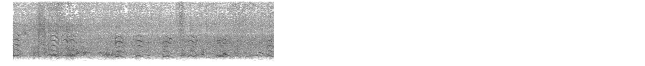 husa sněžní - ML647802790