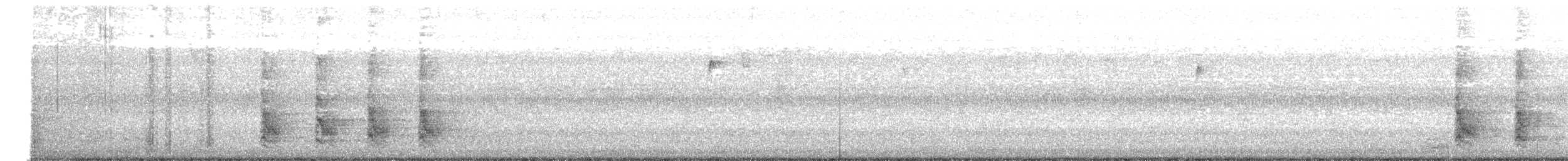 datel karolínský - ML647802838