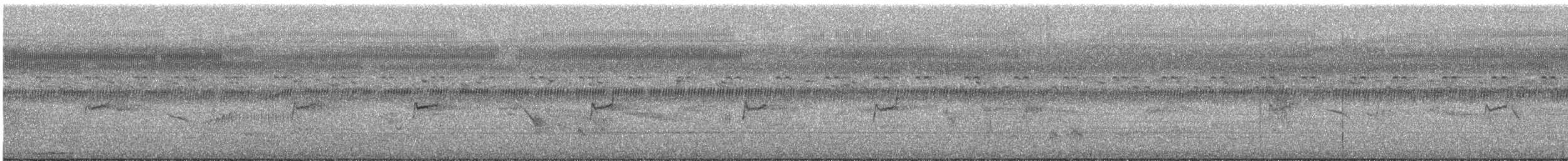 Spitzschwanz-Bronzemännchen - ML647803422