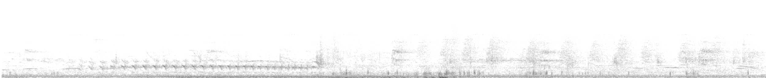 Barred Antshrike - ML647803463