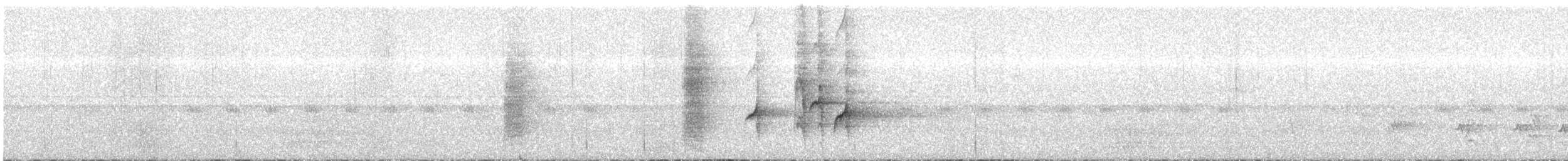 Drongo Bronceado - ML647804154