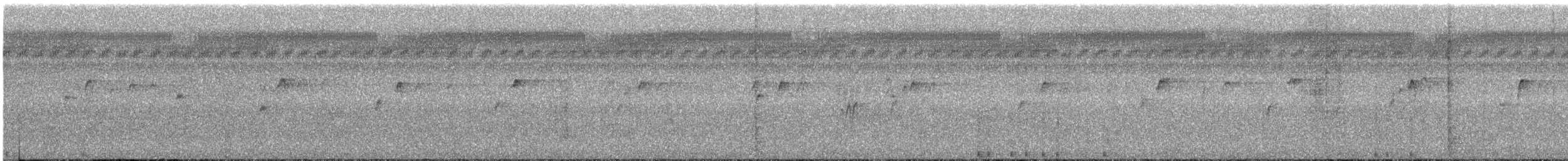 Plain Flowerpecker - ML647804342