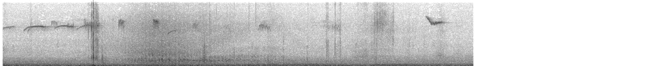 brkoslav americký - ML647804853