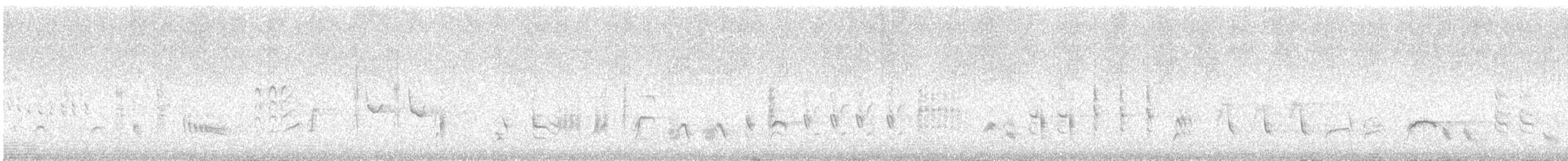 Carricero Picogordo - ML647807225