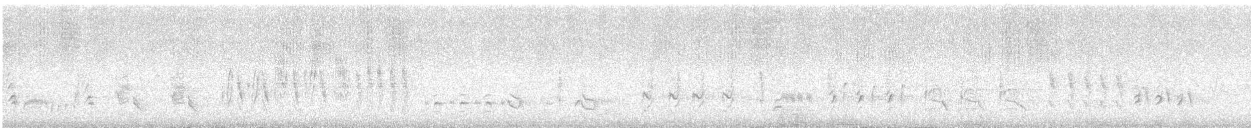 Carricero Picogordo - ML647807227