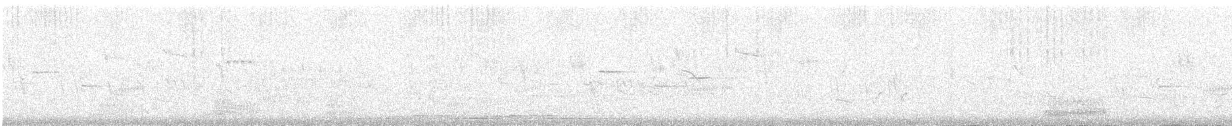 Carricero Picogordo - ML647807231