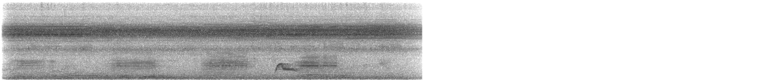 Garza Cuca - ML647807462