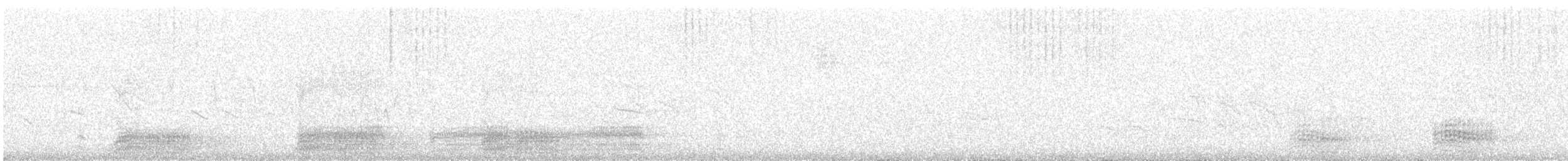 Corneja Negra (Oriental) - ML647807531