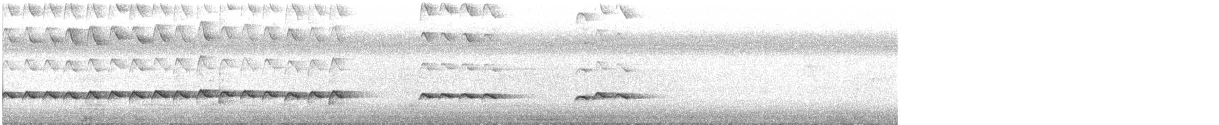 Mielero Chillón - ML647807860