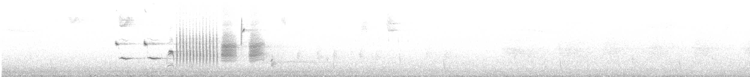 Chingolo Cantor - ML647808016