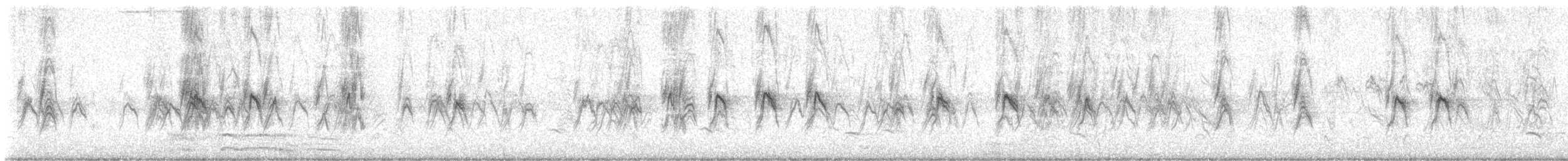 Горобець хатній - ML647808149