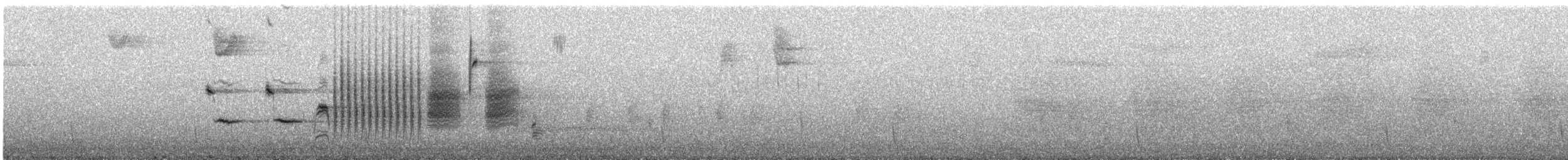 Chingolo Cantor - ML647808187