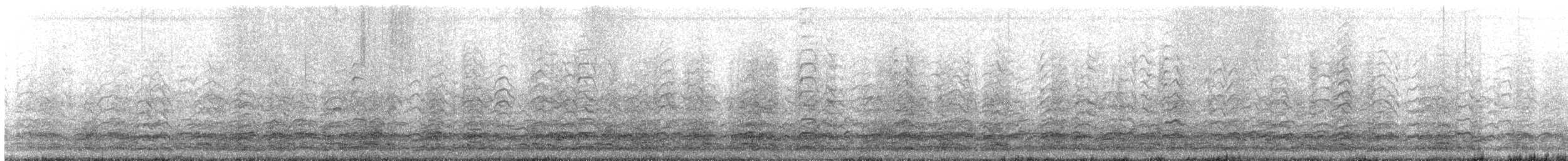 Ánsar Nival - ML647808763