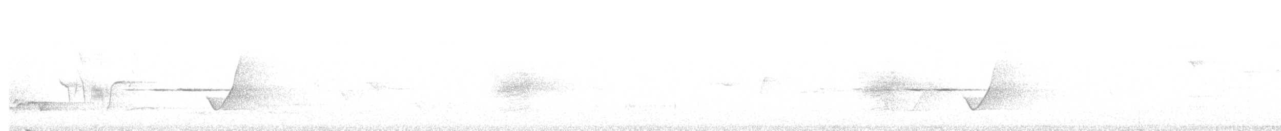 Monarca Satinado - ML647808999