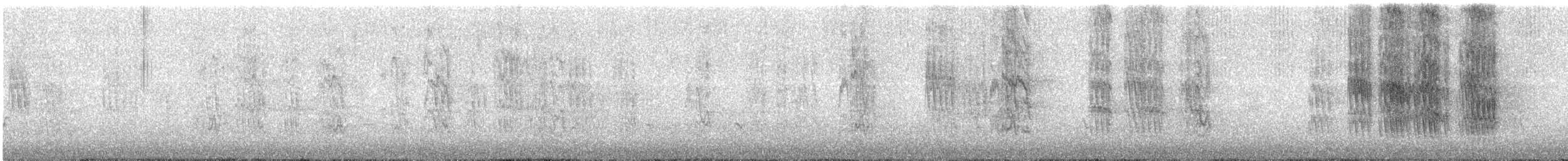 Estornino Gris - ML647809159