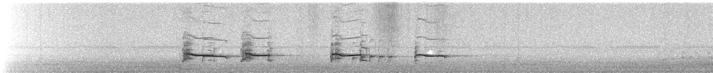 Black-bellied Plover - ML647810184