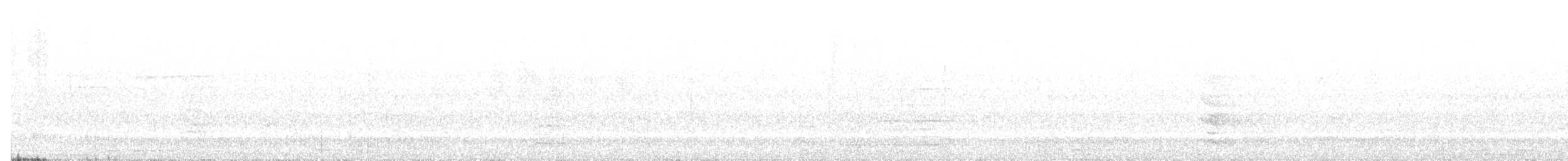 Satin Flycatcher - ML647810196