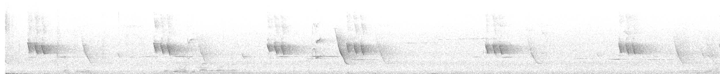 New Holland Honeyeater - ML647810274