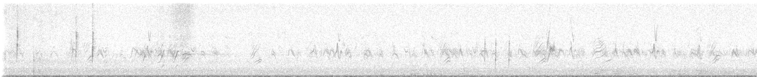 Great-tailed Grackle - ML647810327