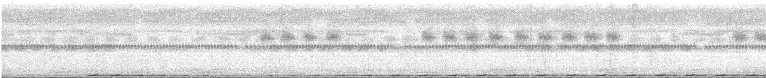 Greater Coucal - ML647810380