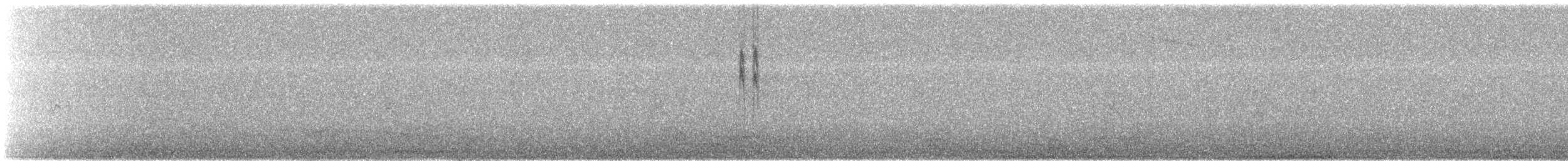 Плиска біла - ML647810613