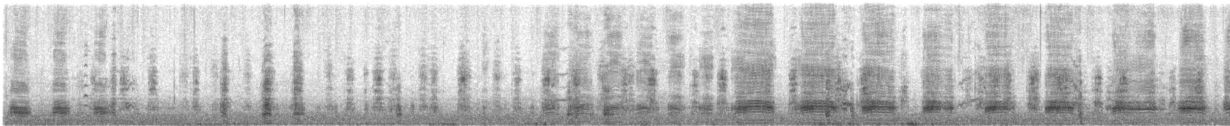 Mallard (Domestic type) - ML647810821