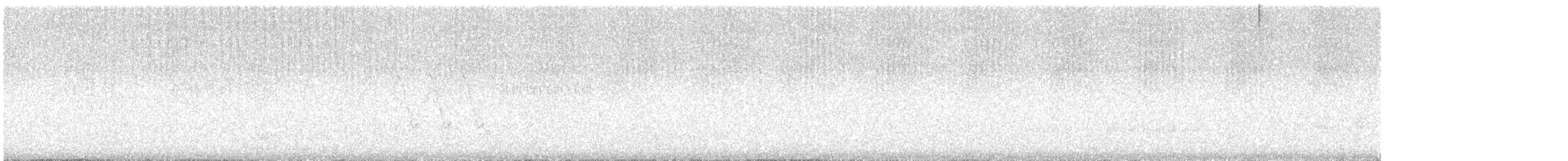 Red-necked Grebe - ML647811189