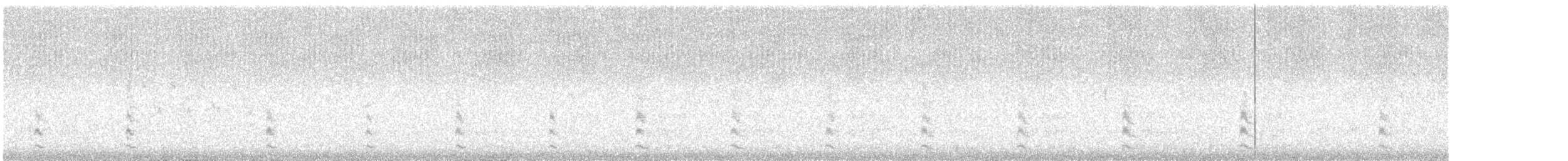 Eurasian Coot - ML647811268