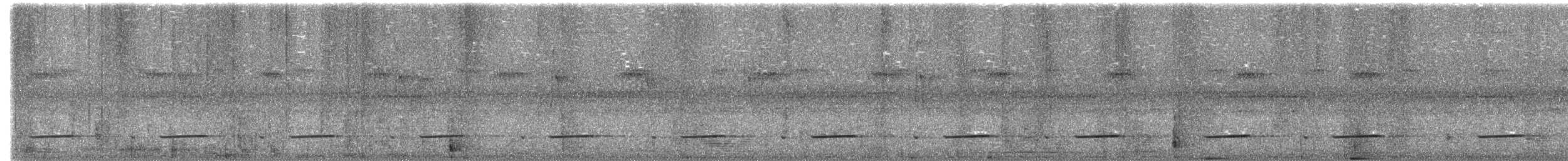 Helmeted Guineafowl - ML647811383