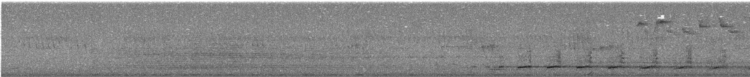 Red-necked Spurfowl - ML647811392