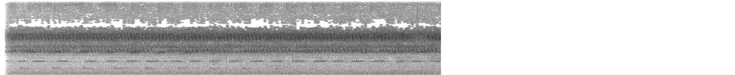 African Barred Owlet - ML647811414