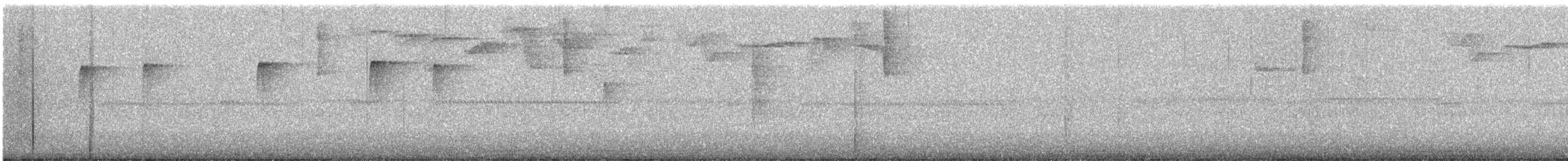 Northern Plain-Xenops - ML647812067