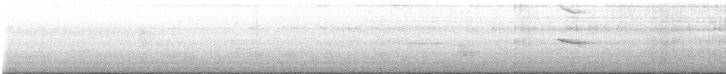 Crested Goshawk - ML647812475