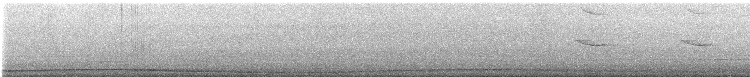 Crested Goshawk - ML647812476