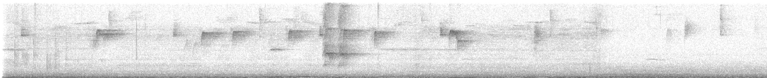 Zeledon's Antbird - ML647812538