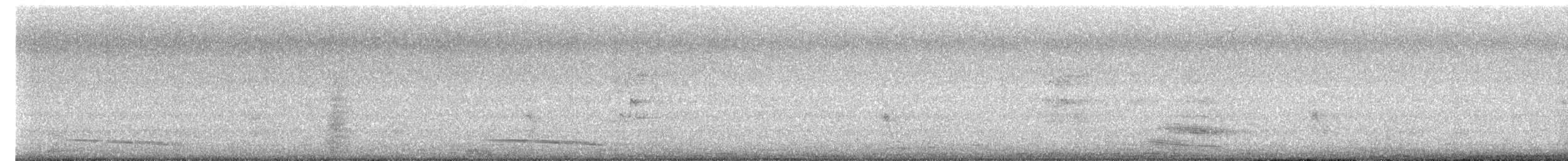 Australian Magpie - ML647812547