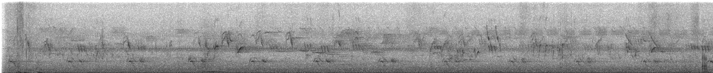 Red Spurfowl - ML647812590